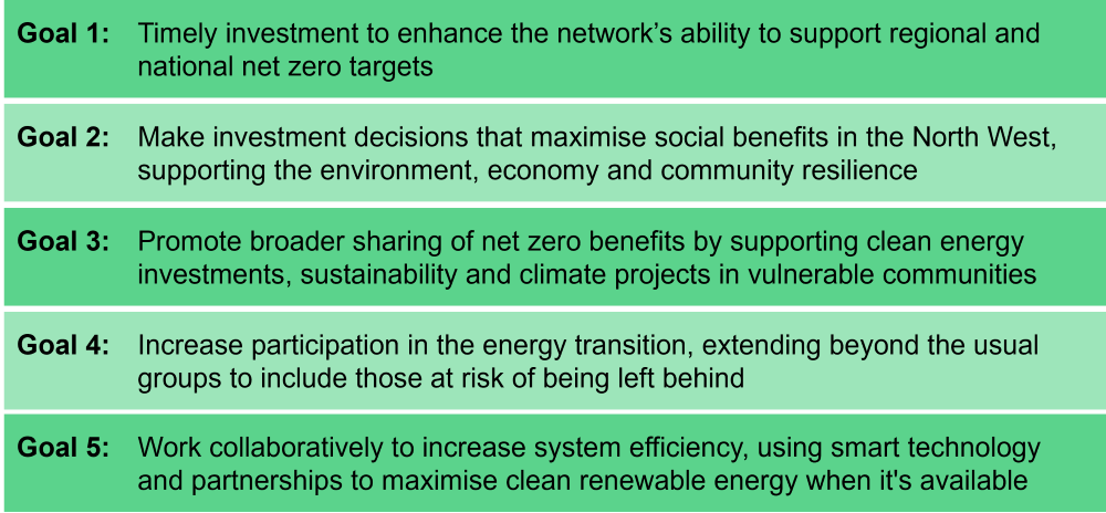 Social DSO  goals.png