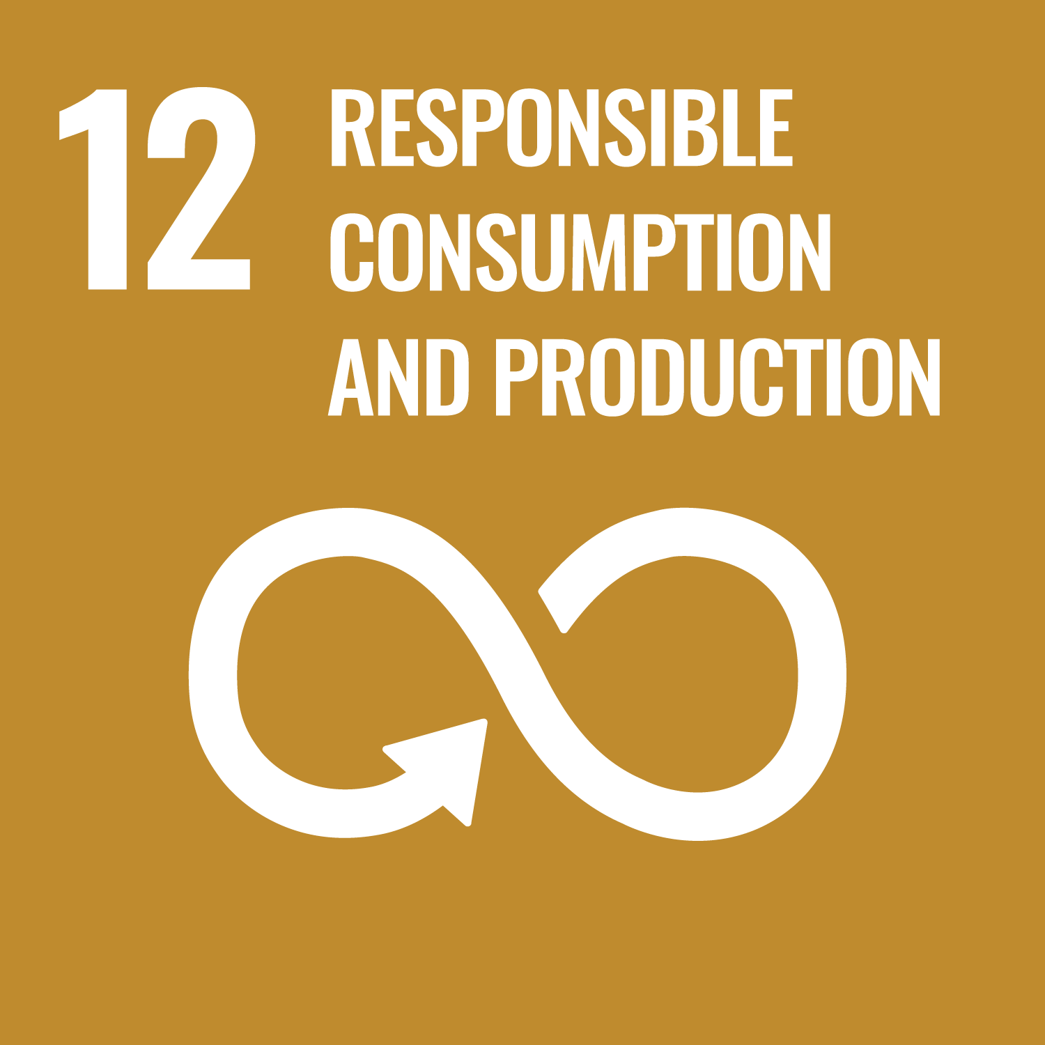 Headshot of Responsible Consumption and Production